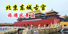 无套强暴轮奸亚洲美女网站中国北京-东城古宫旅游风景区